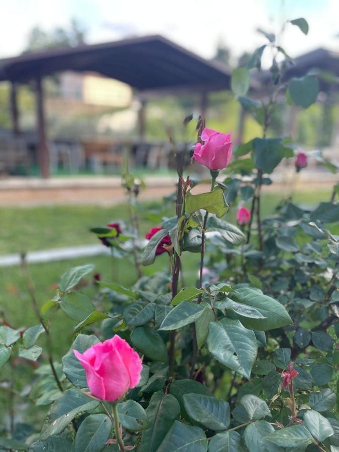 La Collina Su Ascoli Acomodação com café da manhã Ascoli Piceno Exterior foto