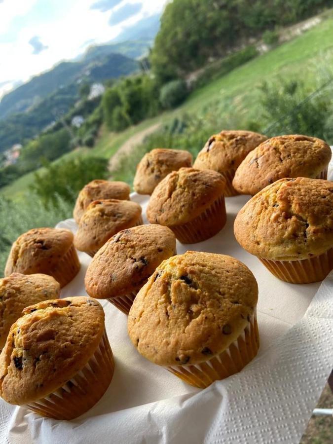 La Collina Su Ascoli Acomodação com café da manhã Ascoli Piceno Exterior foto